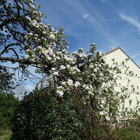 Bed and Breakfast Au Val Des Meuris Taintrux Esterno foto