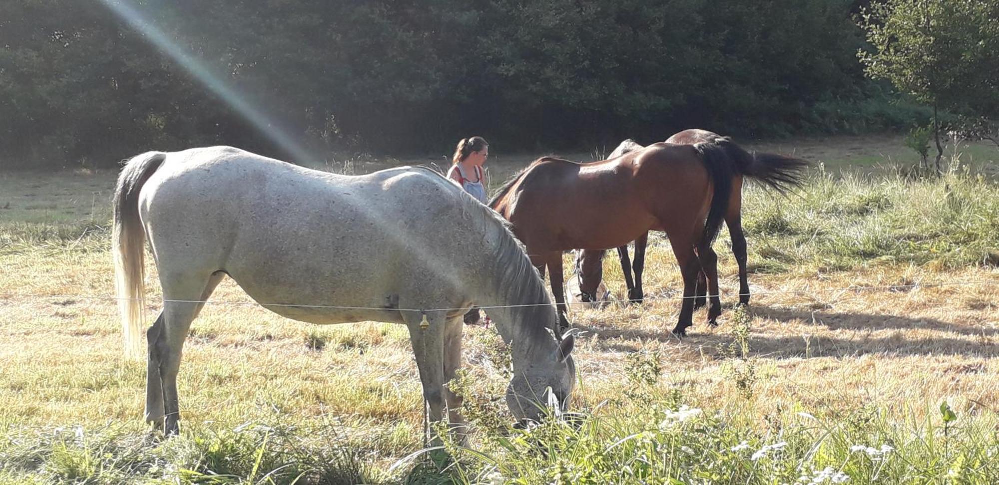 Bed and Breakfast Au Val Des Meuris Taintrux Esterno foto