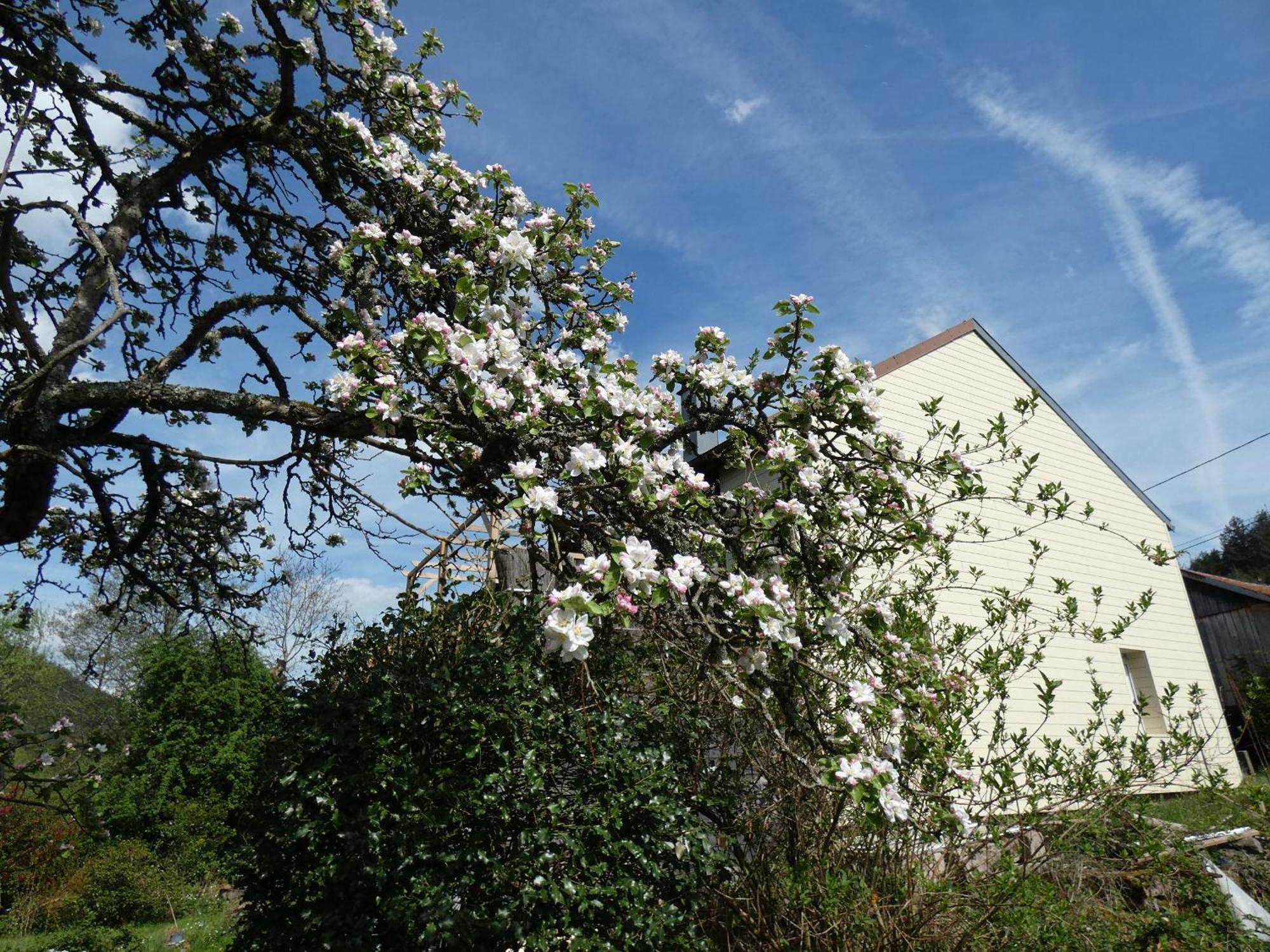 Bed and Breakfast Au Val Des Meuris Taintrux Esterno foto